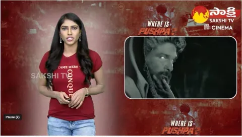 Where Is Pushpa Full Video Goosebumps Review