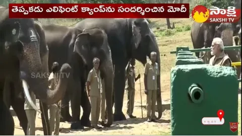 PM Modi Visits Theppakadu Elephant Camp In Mudumalai Tiger Reserve