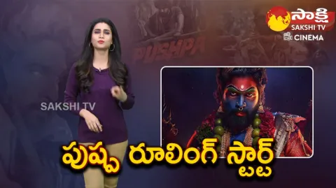 Pushpa 2 First Look Views And Likes Break All Records