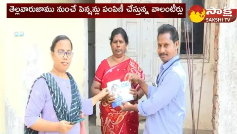YSR Pension Kanuka Distribution In Andhra Pradesh