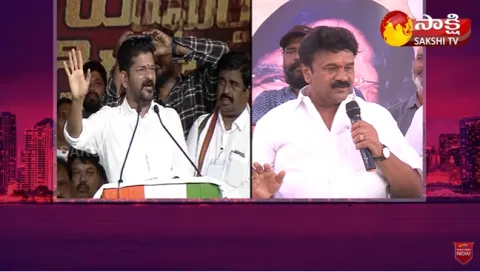 Minister Talasani Srinivas Yadav Fires On Revanth Reddy