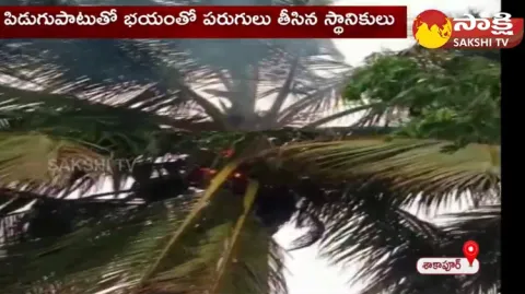 Thunderstrom On Coconut Tree