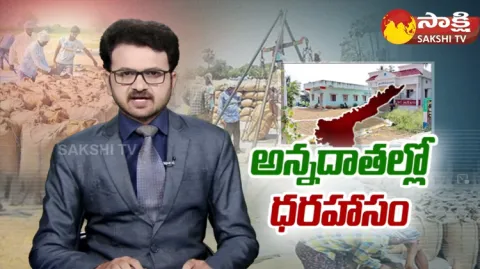 AP Govt All Arrangements Set For Rabi Season Paddy Purchase