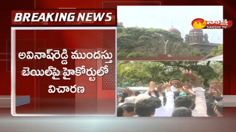MP YS Avinash Reddy Anticipatory Bail Plea
