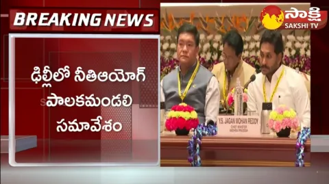 AP CM YS Jagan Attends NITI Aayog Council Meet 