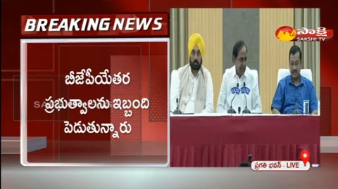 Three States Chief Minister Comments On Center Ordinance