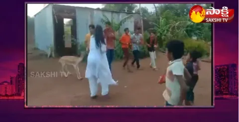 Krishna Jhinka Dance To Lord Krishna Songs