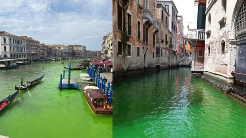 Venice Grand Canal Colour Changed Video Viral 