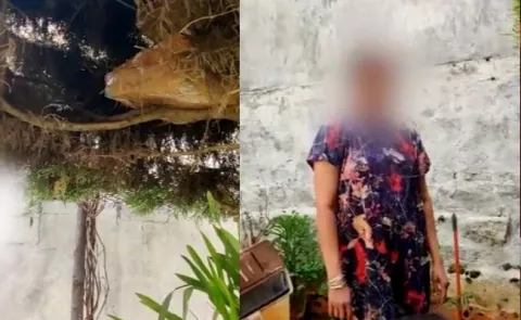 Huge Cash Put In Mango Tree At Karnataka 
