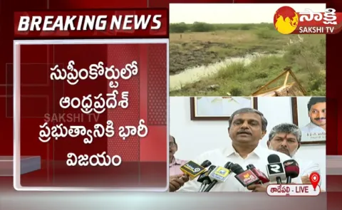 Sajjala Ramakrishna Reddy Reaction On Supreme Court Verdict 
