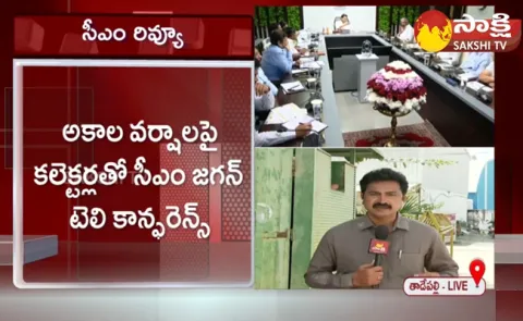 CM YS Jagan Teleconference With Collectors On Untimely Rains