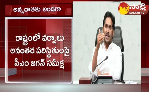CM YS Jagan Key Instructions On Rain Affected Farmers Compensation 
