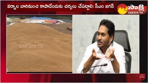 CM YS Jagan Review On Damaged Crops Due To Heavy Rain In AP