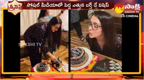 Trisha's Birthday Shek The Social Media
