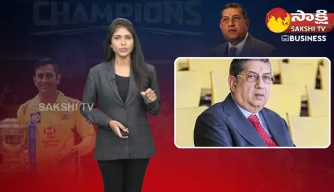 CSK Owner N Srinivasan Net Worth