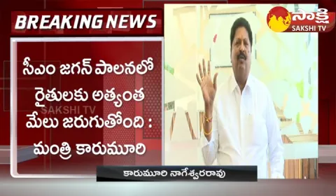 Minister Karumuri Nageswara Rao About Farmers And Paddy Procurement 