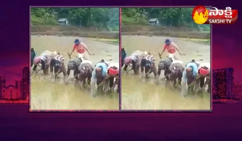 Garam Garam Varthalu Minister Temjen Imna Along Shares Beautiful Video Of Nagaland