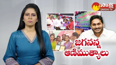 State Brilliance Awards 2023 Distribution All Over AP