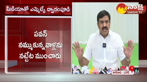 Dwarampudi Chandrasekhar Reddy Comments On Pawan Kalyan 