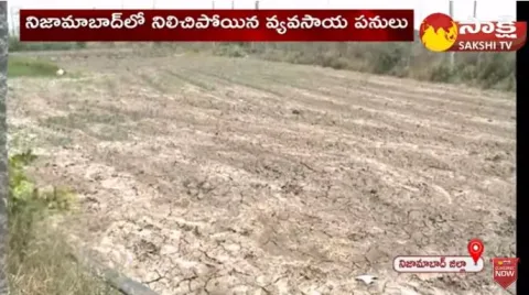 Paddy Farmers Huge Loss Over No Rain