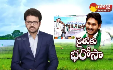 CM YS Jagan Comments On Chandrababu 