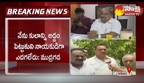 Mudragada Padmanabham Comments On Pawan Kalyan