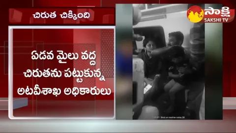 Leopard Caught By Forest Officers In Tirumala 