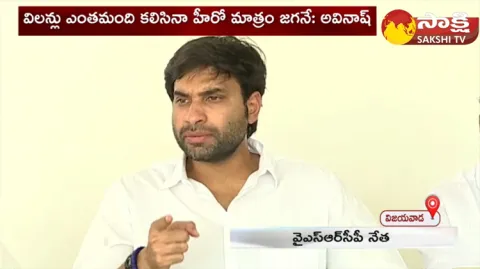 Devineni Avinash Fires On Pawan Kalyan And TDP Leaders 