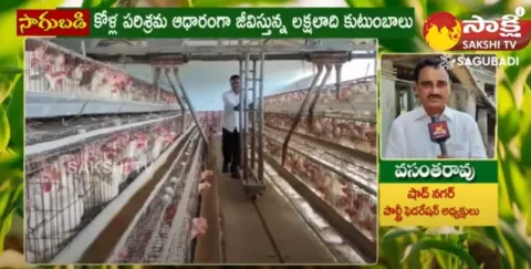 Special Story on Poultry Farming