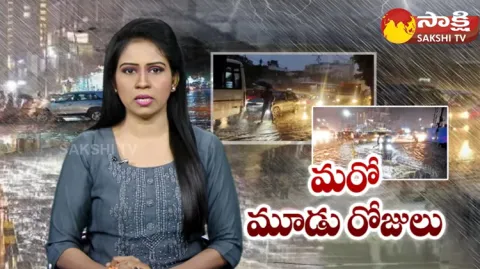 Heavy Rains In Telangana 