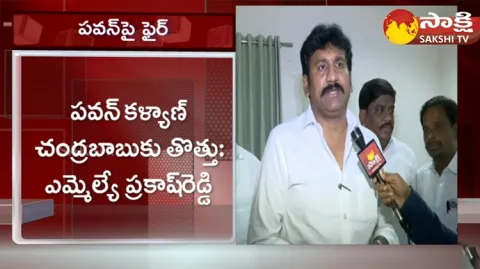 Raptadu MLA Thopudurthi Prakash Reddy Comments On Pawan Kalyan