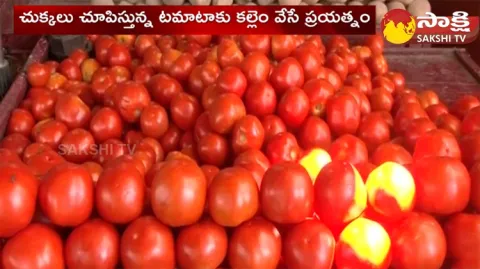 Tomato Prices Crossed 100 Rs For KG In Market