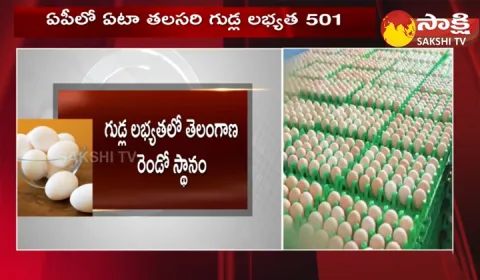 Andhra Pradesh Top In Egg Production In India