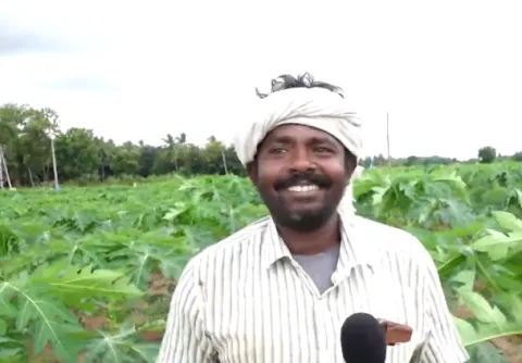 They Raised Their Heads And Made Them Do Agriculture