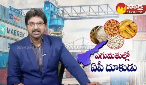 Huge Exports From Andhra Pradesh To Other Countries