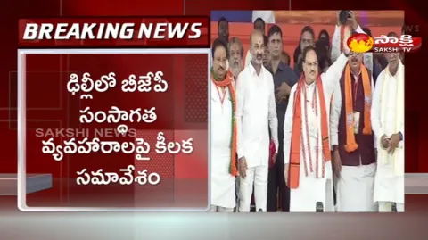 BJP Party Leaders Key Meeting In Delhi 