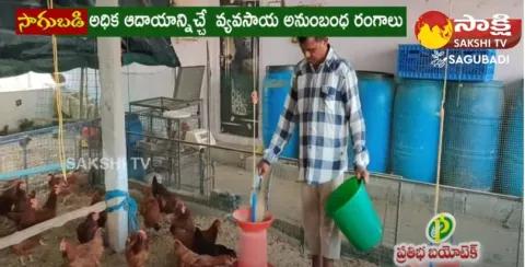 Desi Kolla Pempakam | Hen Farm in Telugu | Hen Cultivation