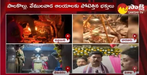 Maha Shivaratri 2023: Ramalingeshwara Swamy Temple