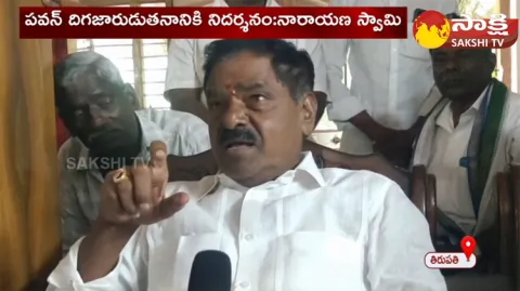 Deputy CM Narayana Swamy Fire On Pawan Kalyan