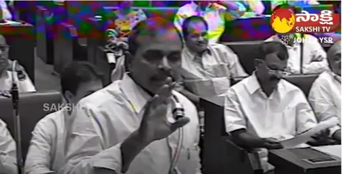 Y. S. Rajasekhara Reddy about Alimineti Madhava Reddy 