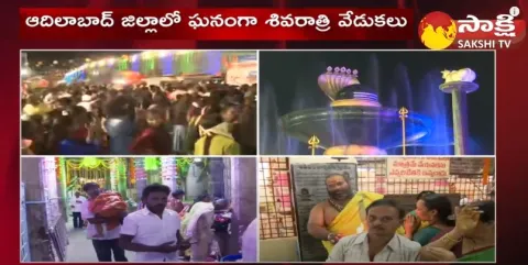 Vishaka Sriramalingeswaraswami Temple 
