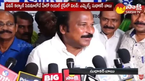 SC ST Atrocities Case to be Filed on Pawan Kalyan : MLA Sudhakar Babu 