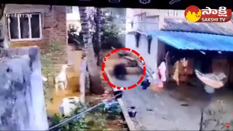 Bear Hulchul In Satya Sai District