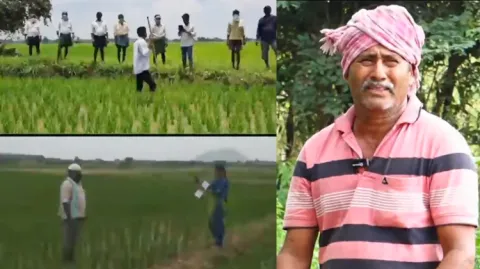 Farmers About YSR Crop Insurance In AP