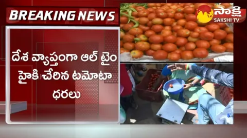 Andhra Pradesh Govt Gives Tomato For Low Price