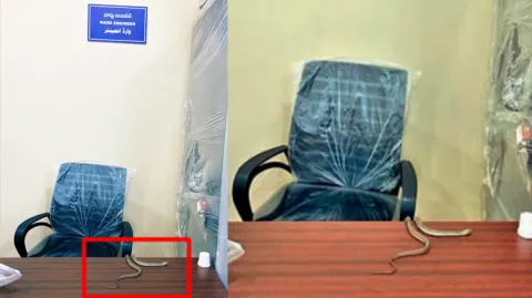 Man Releases Snake In GHMC Office At Alwal
