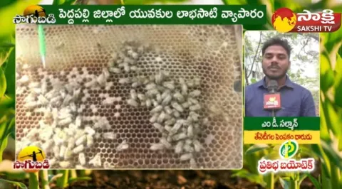 Honey Bee Farming in Telugu