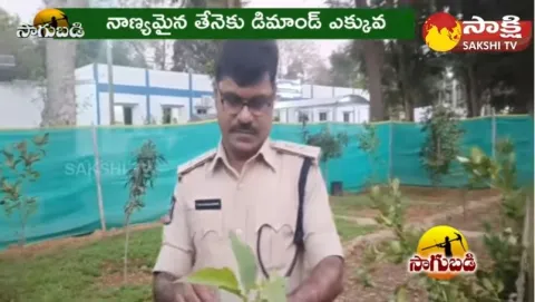Palnadu District SP Ravi Sankar Reddy Farming Near Police Station