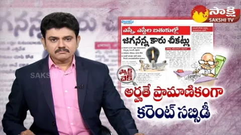 Eenadu Fake News On AP Power Subsidy 