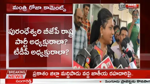 Minister RK Roja Comments On BJP Leader Daggubati Purandeswari